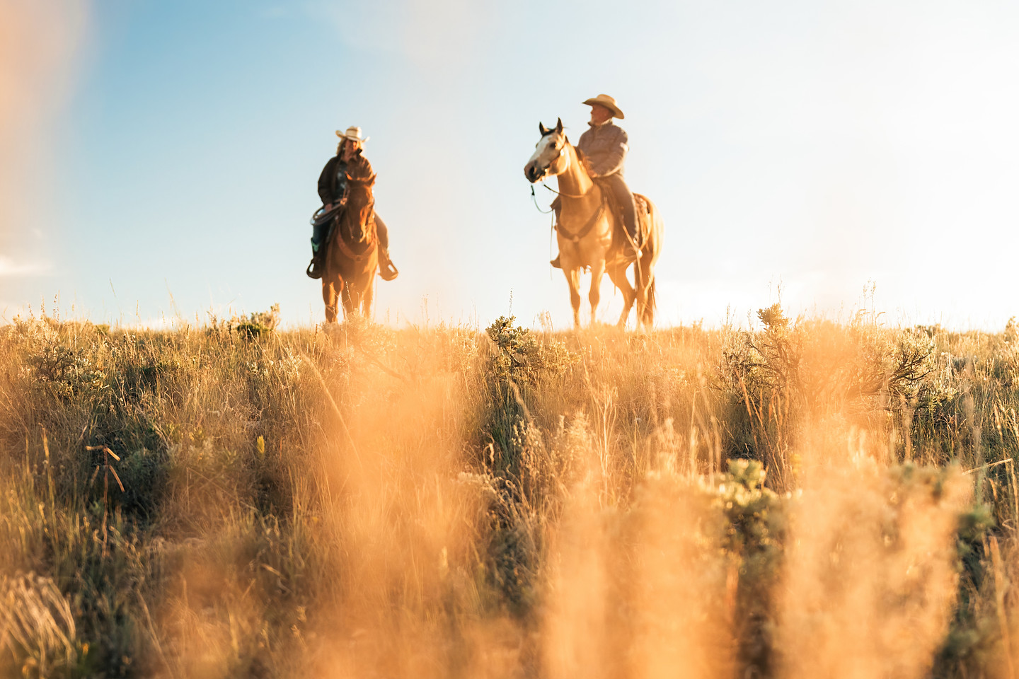Two riders on horseback along a golden ridge at sunset, backlit grass glowing — commissioned commercial frame